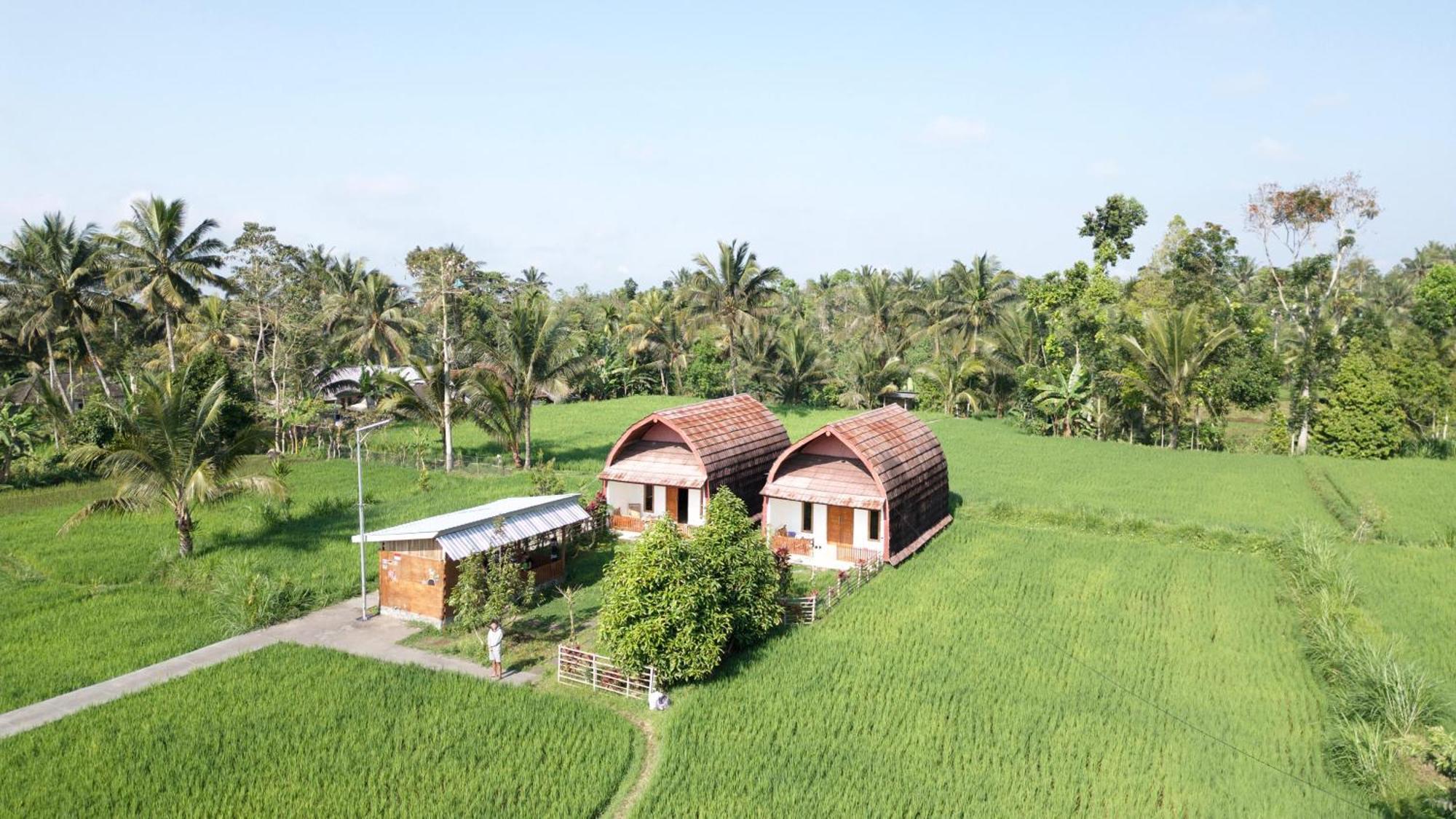 Bale Tetebatu Villa ภายนอก รูปภาพ