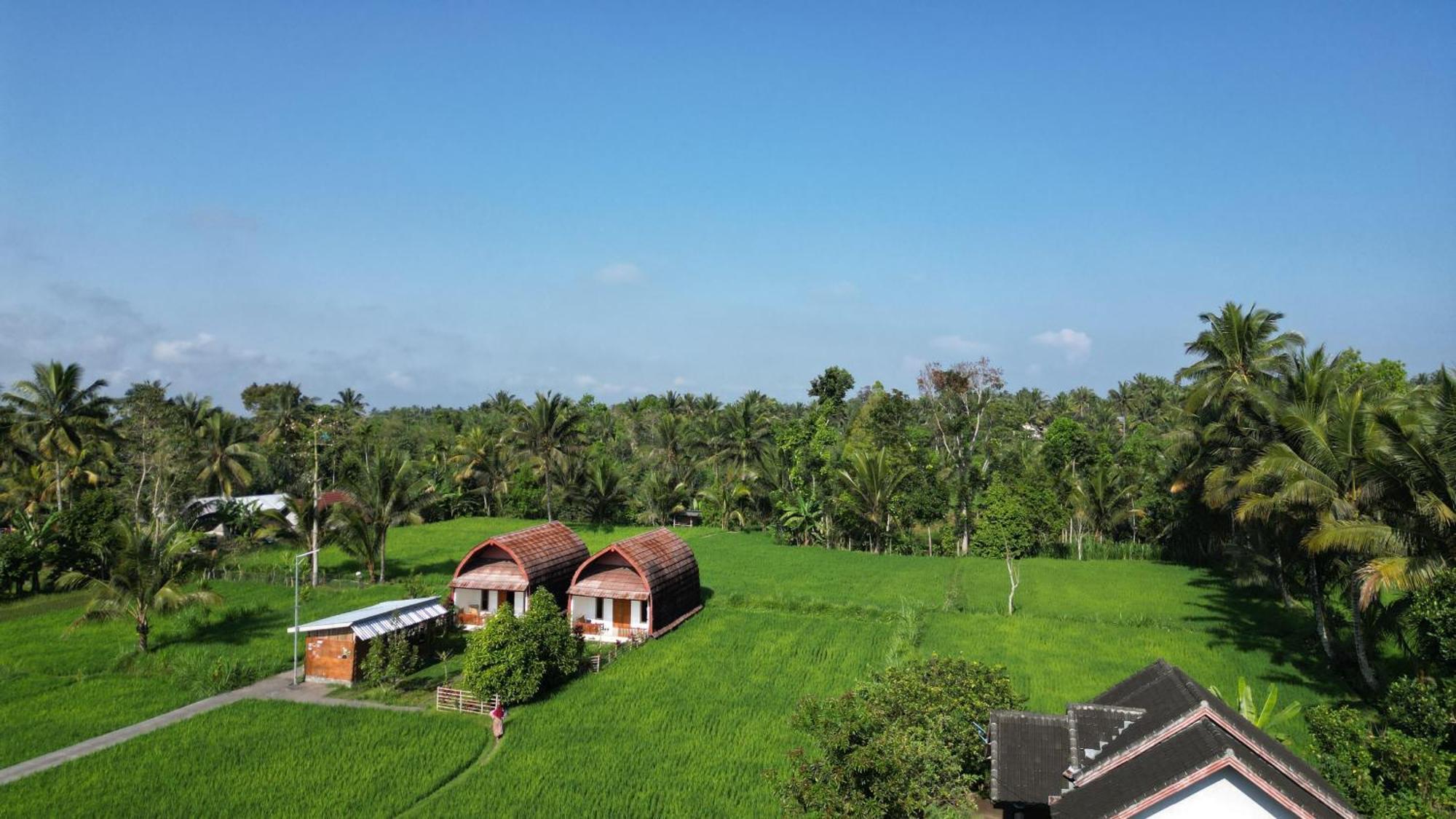 Bale Tetebatu Villa ภายนอก รูปภาพ