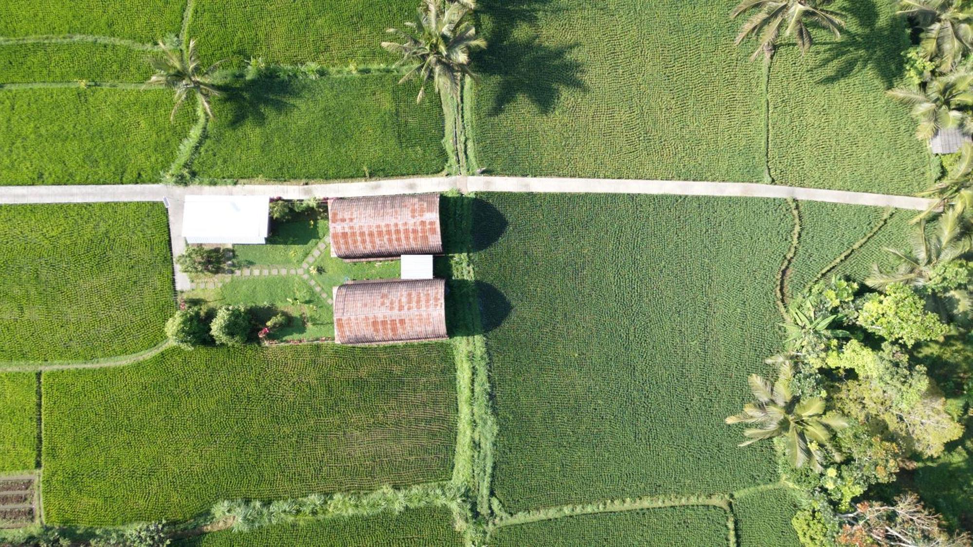 Bale Tetebatu Villa ภายนอก รูปภาพ