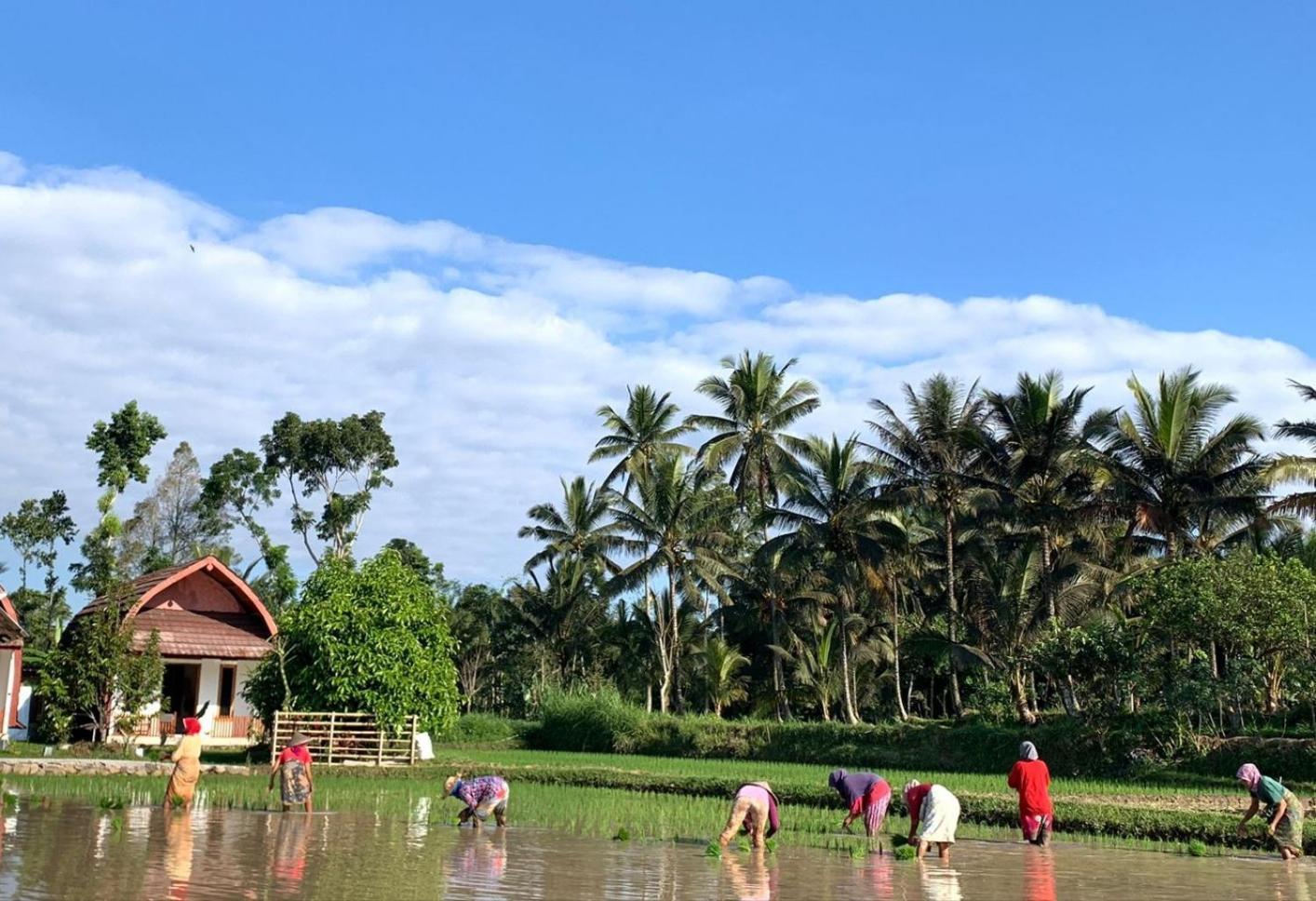 Bale Tetebatu Villa ภายนอก รูปภาพ