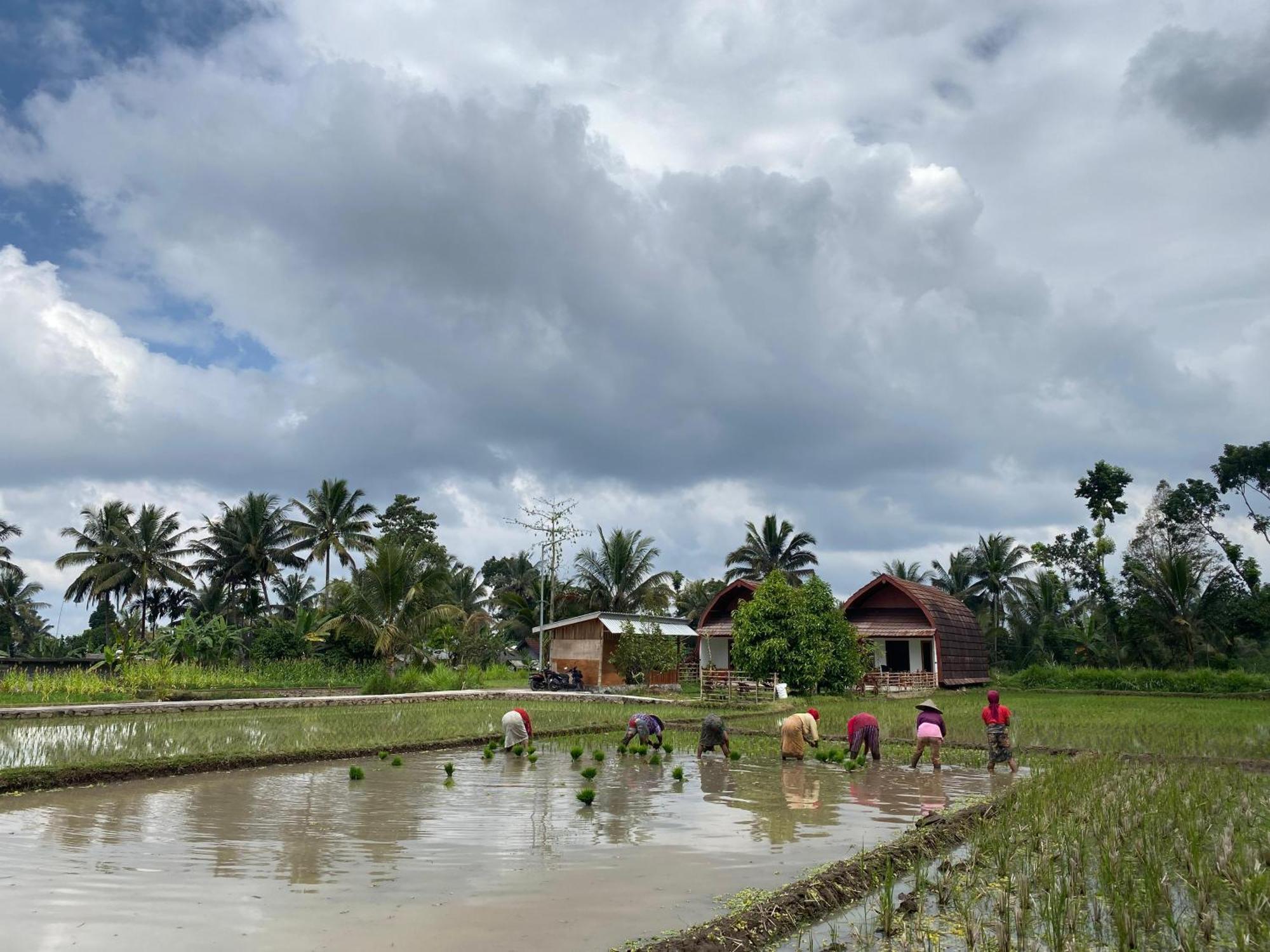 Bale Tetebatu Villa ภายนอก รูปภาพ