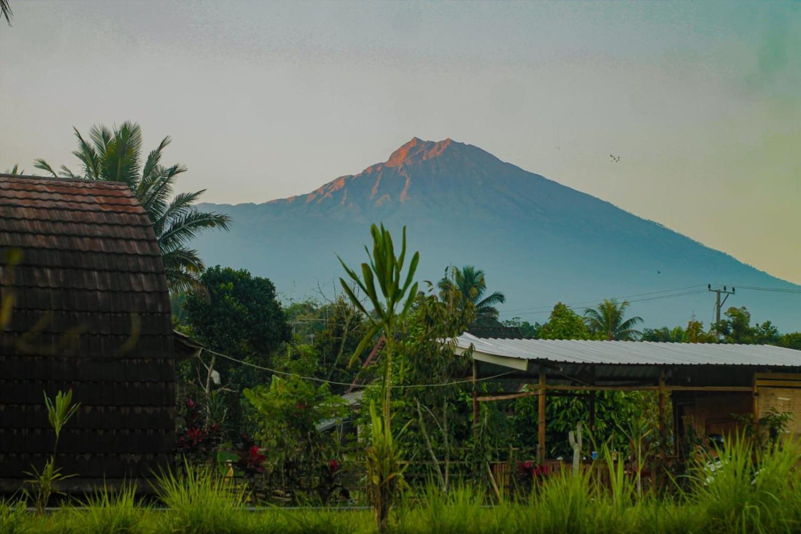 Bale Tetebatu Villa ภายนอก รูปภาพ