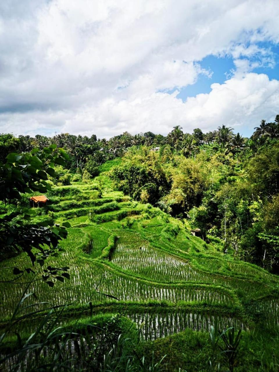 Bale Tetebatu Villa ภายนอก รูปภาพ
